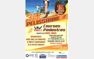 Course de Pelissanne 10km