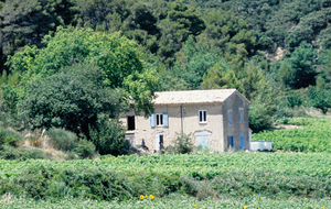 Sortie Nature proposée par Vincent au départ de cairval