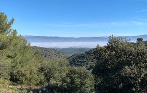 Sortie mardi d'été