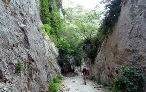 Sortie Trail : Gorges du Régalon