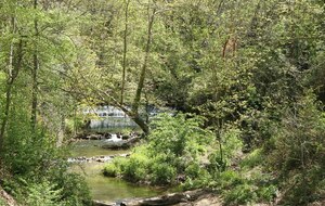 Annulée : Sortie Touloubre (massifs fermés)